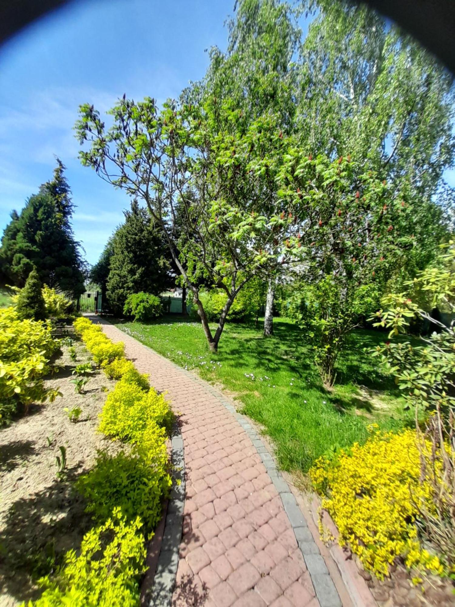 Pod Brzozami Z Jacuzzi ,grillem I Tarasem Holiday home Przemysl